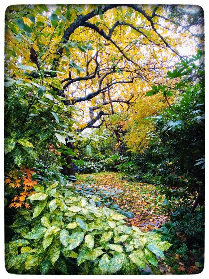 Гостевой дом Jardines Del Robledo-Albar Сан-Мигель-дель-Робледо Экстерьер фото