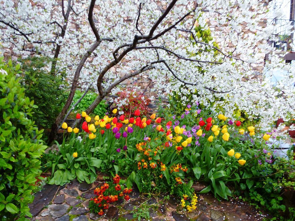 Гостевой дом Jardines Del Robledo-Albar Сан-Мигель-дель-Робледо Экстерьер фото